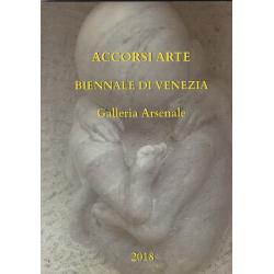 accorsi-arte-biennale-di-venezia-galleria-arsenale-2018 accorsi-arte-biennale-di-venezia-galleria-arsenale-2018