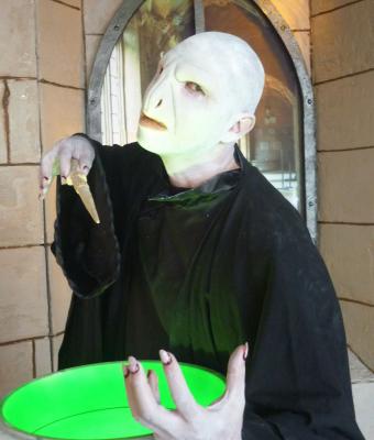 voldemort-harry-potter