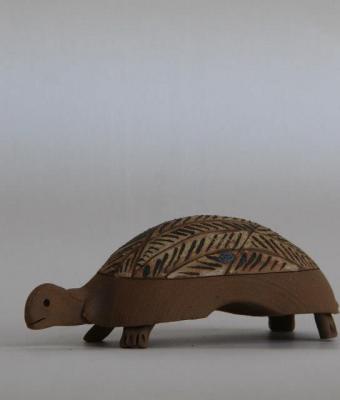 tartaruga
