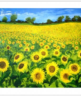girasoli