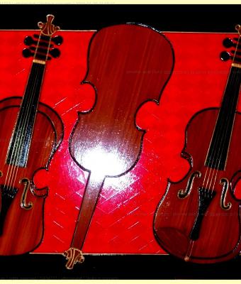 violini-in-concerto