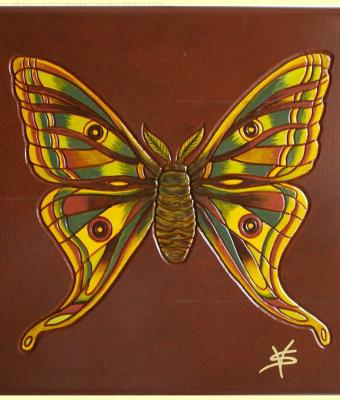farfalla-mari