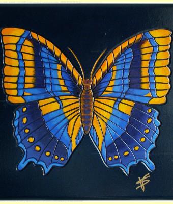 farfalla-antonella