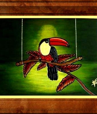 il-tucano
