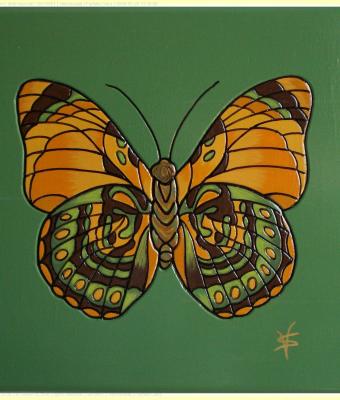 farfalla-clara