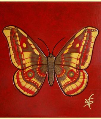 farfalla-martina