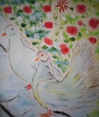 colombe