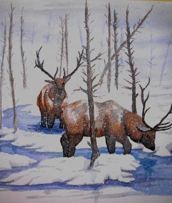 cervi-nella-neve