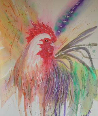 il-gallo