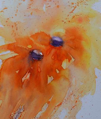fiori-in-arancio