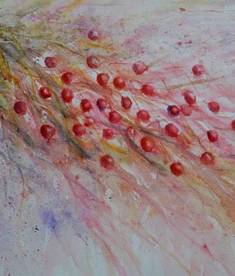 sfumature-di-bacche-nandina-d