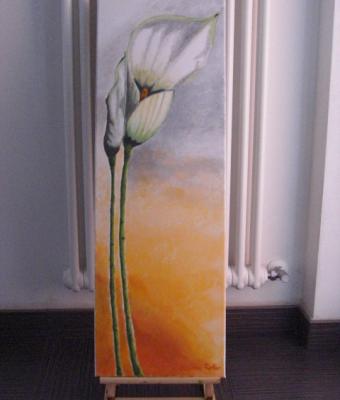 calla