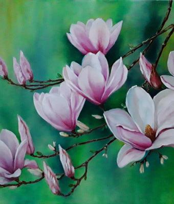 i-rami-di-magnolia