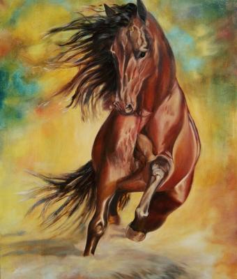 il-cavallo-selvaggio