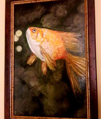 pesce-rosso