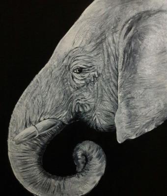 l-elefante