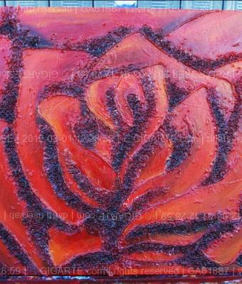 red-rose