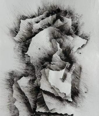 volpe-nascosta