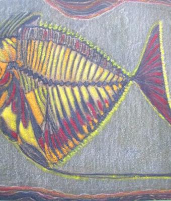 pesce-fossile