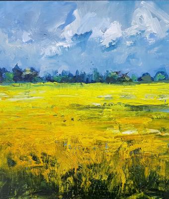 yellow-fields-in-the-polder