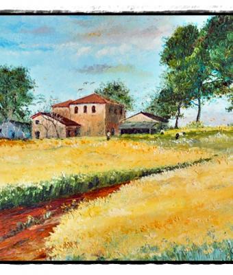 campagna-in-via-strampelli-ar