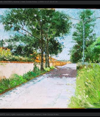 viale-gorizia-ardea