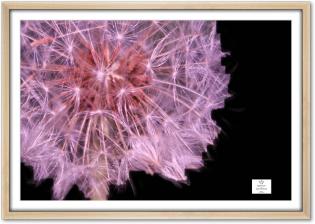 spirare-sul-fuoco-02