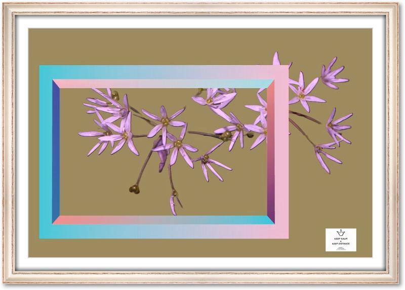riquadro-primaverile-02