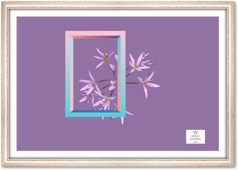 riquadro-primaverile-03