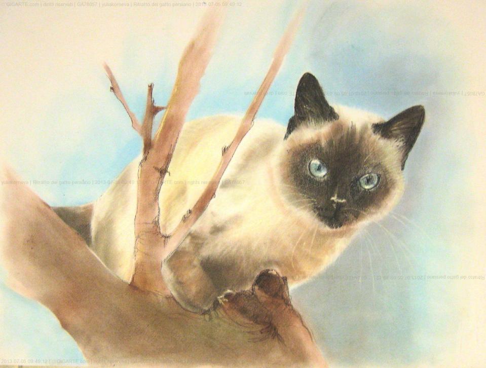 ritratto-del-gatto-persiano