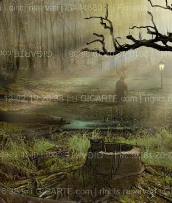 foresta